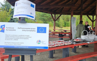 PODSUMOWANIE PROJEKTU - PIKNIK 1