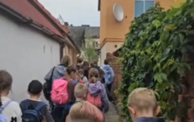 AKCJA LATO 2026 94