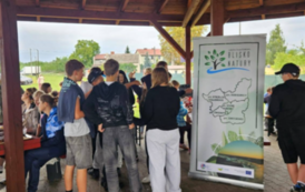 PODSUMOWANIE PROJEKTU - PIKNIK 4