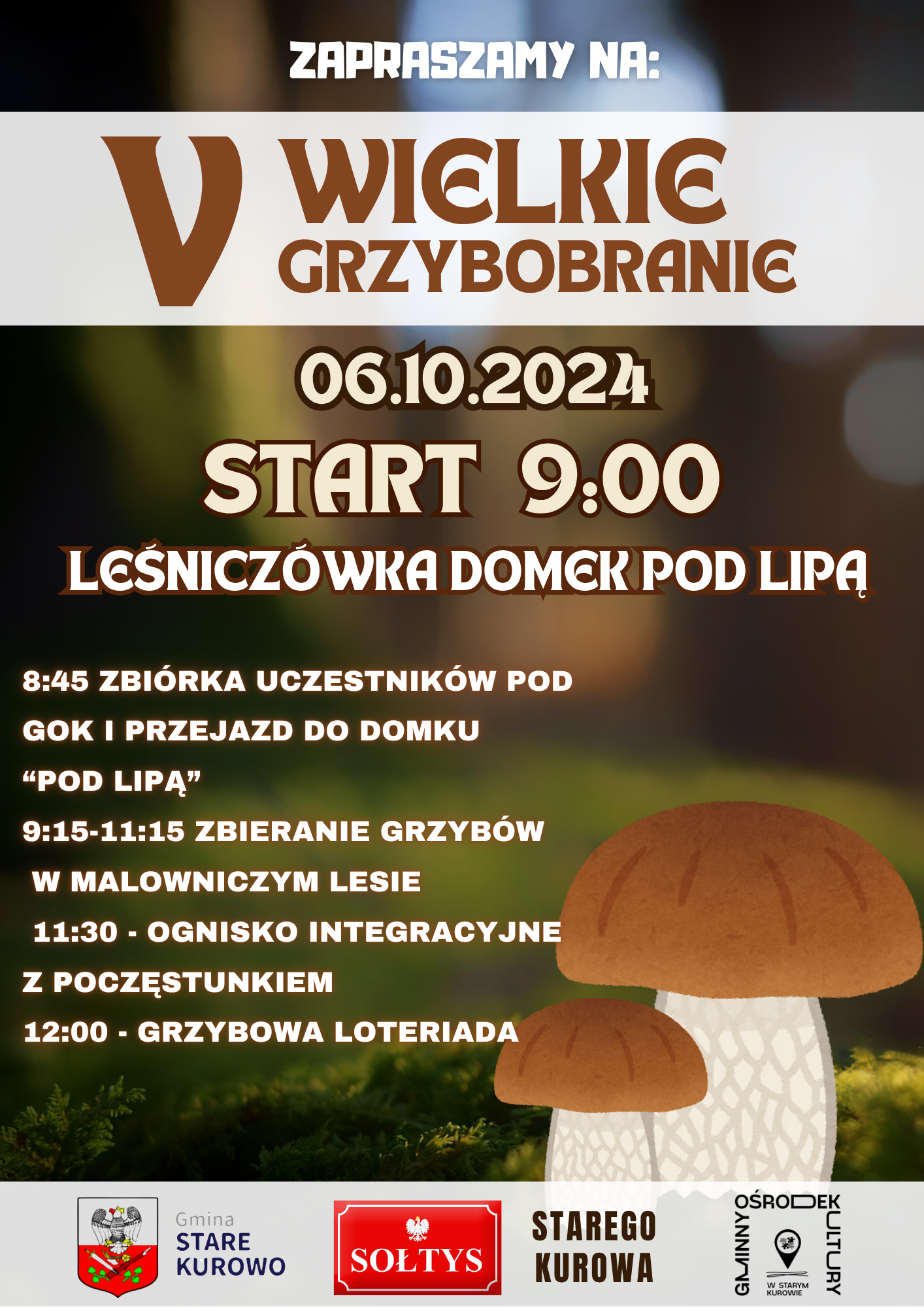 GRZYBOBRANIE (3)