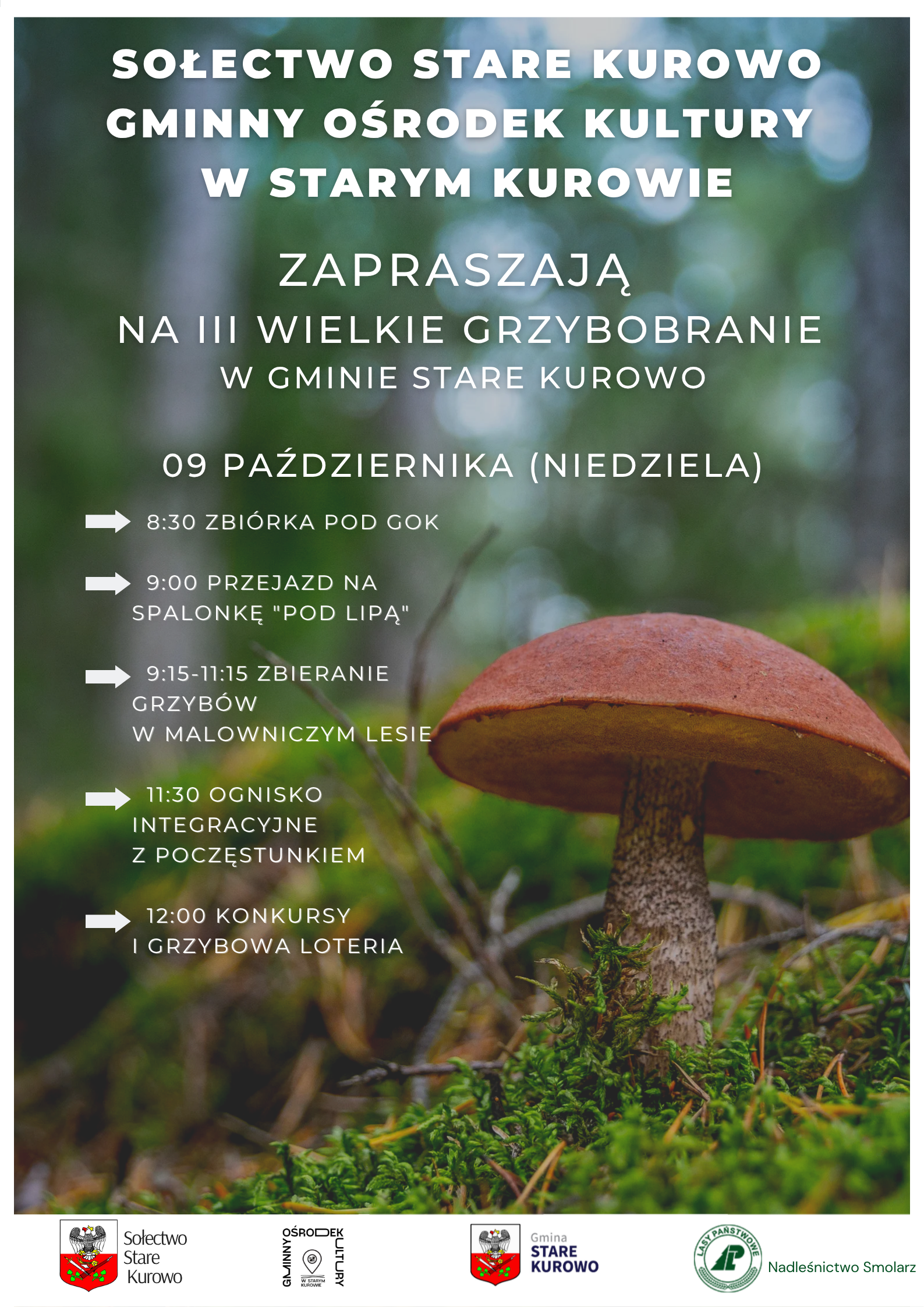 Grzybobranie (2)