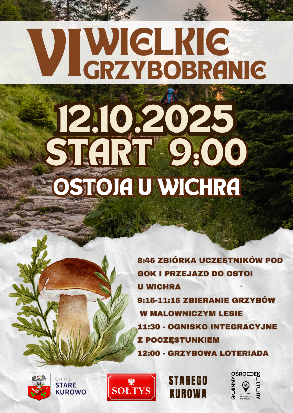 VI WILEKIE GRZYBOBRANIE
