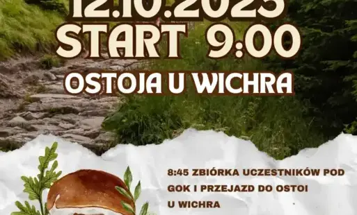 VI Wielkie Grzybobranie